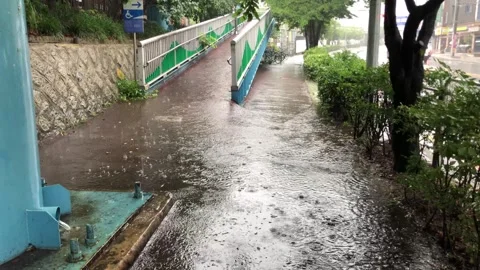 Heavy rain in the stream Vídeos de archivo 245354322