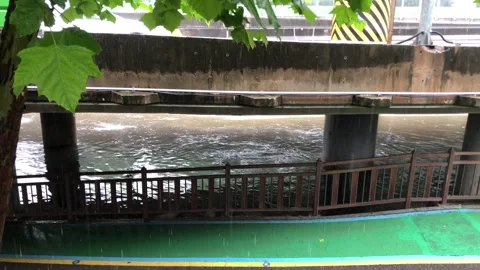 Heavy rain in the stream Vídeos de archivo 245354424