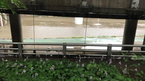 Heavy rain in the stream 動画素材 245354595