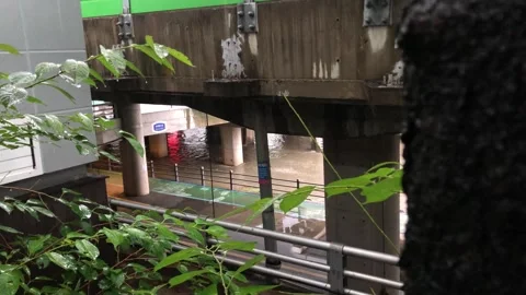 Heavy rain in the stream Vídeos de archivo 245354654