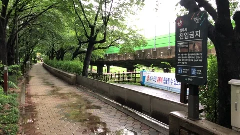 Heavy rain in the stream Vídeos de archivo 245355871