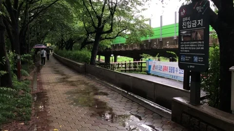 Heavy rain in the stream Stock Footage 245356207