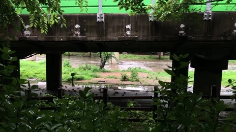 Heavy rain in the stream Stock Footage 245356208