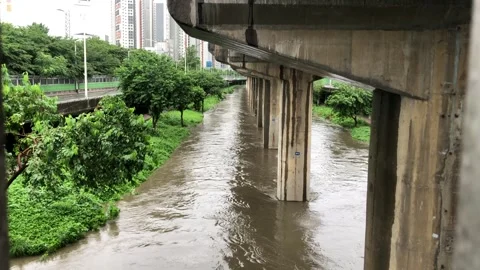 Heavy rain in the stream Stock Footage 245356966