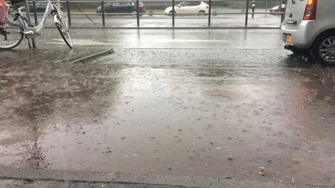 Heavy rain on the street Stock Footage 103091433