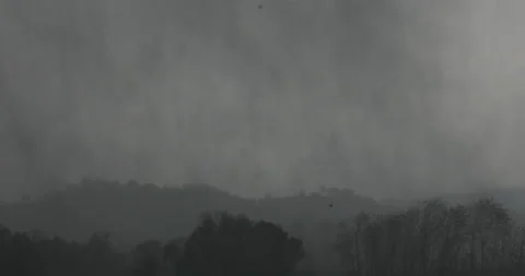 Heavy rain, strong wind, blowing wind, palm leaf, Stock Footage 139038675