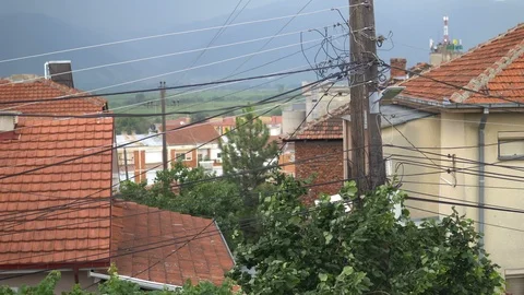 Heavy rain, strong wind shakes the branches of trees before storm Stock Footage 103283542