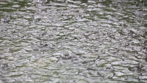 Heavy rain on surface of water closeup. Stock Footage 130739819