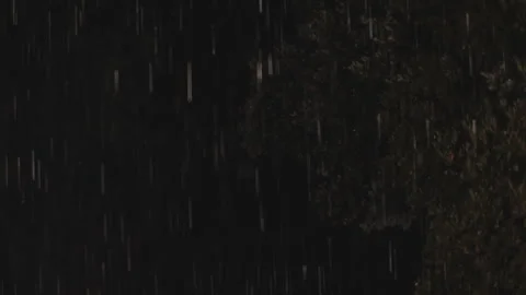 Heavy rain through forest trees at night Stock Footage 319871633