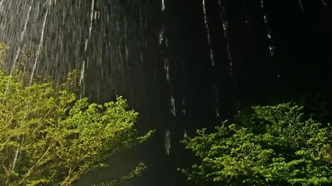 Heavy Rain on Trees at Night – Cinematic Night Rainfall on Trees Video stock 321855096