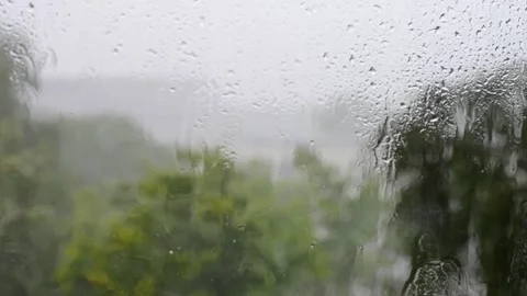 Heavy rain, trees swaying in the wind. Stock Footage 281571083
