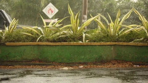 Heavy rain in tropical location with 'No Fire Lighting' street sign Stock-Footage 72712853