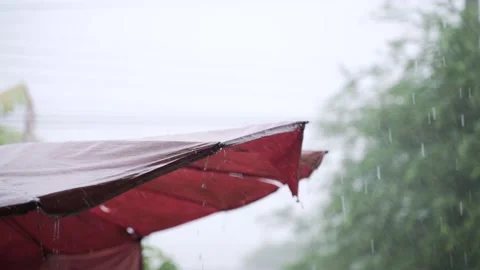 Heavy rain from tropical storm Stock Footage 133124861