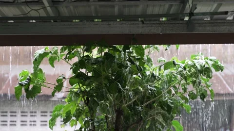 Heavy rain from tropical storm hitting stainless steel roof Stock Footage 133124864