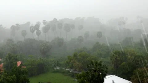 Heavy rain in tropics Stockbeeldmateriaal 12653480