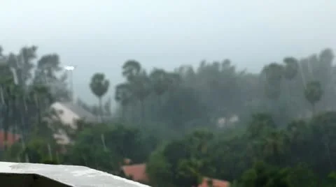 Heavy rain in tropics Stockbeeldmateriaal 12656356