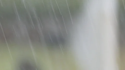 Heavy rain is a veil like the background. 스톡 동영상 92337942