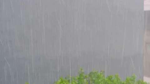 Heavy rain view Stock Footage 195072757