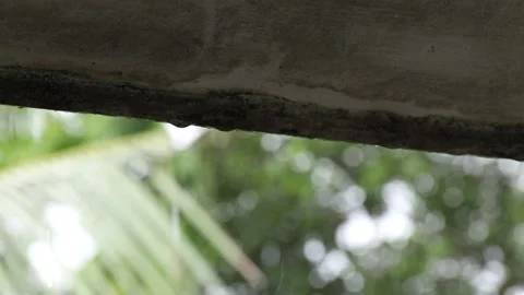 Heavy rain water drop are falling from house shade Stock Footage 157715331