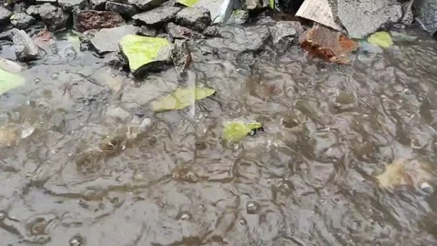 Heavy Rain Water Splashes on the rocks Stock Footage 289524012