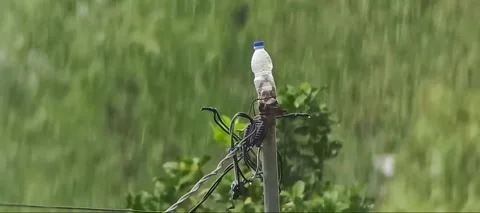 Heavy rain wets the pole in the middle of the village Stock Footage 318839861