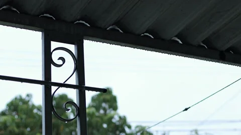 Heavy Rain With Wind, Back Yard Patio, Tree, 4K, Real Time Stock Footage 237213948