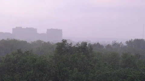 Heavy Rain with Wind on the Background of Green Trees, Thunderstorm, Storm Stock Footage 155705983