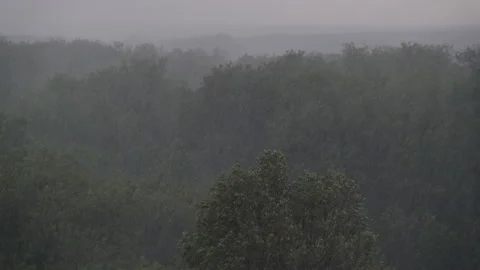 Heavy Rain with Wind on the Background of Green Trees, Thunderstorm, Storm Video stock 155750905