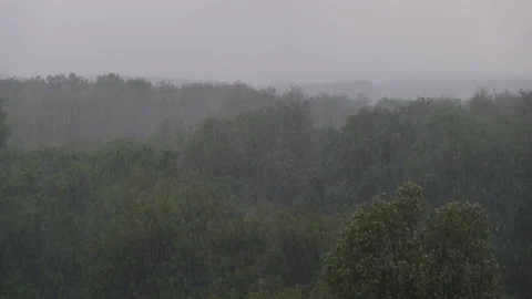 Heavy Rain with Wind on the Background of Green Trees, Thunderstorm, Storm Stock Footage 155812565