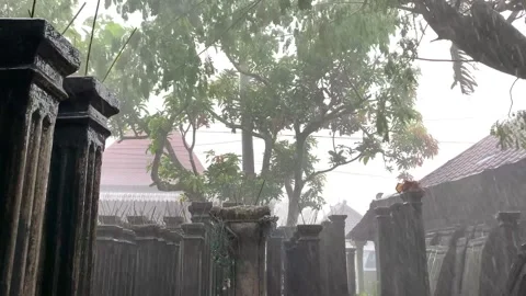 Heavy rain with wind Stockbeeldmateriaal 232559341