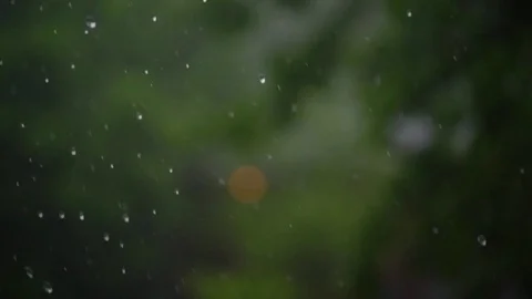 Heavy Rain Wind Storm Summer Slow Motion Stock Footage 75750629