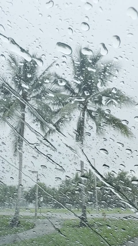 Heavy Rain on Windshield, Palm Trees Bending in Hurricane, Vertical 4K Foota Stock Footage 341365979