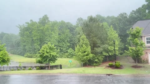 Heavy rain by the woods Stock Footage 312967062