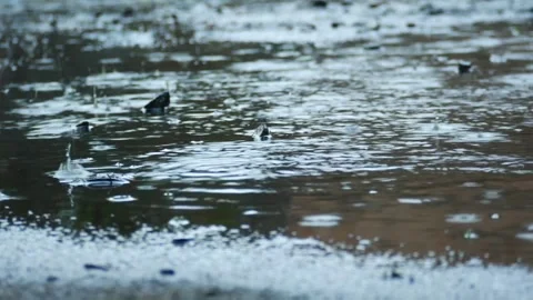 Heavy raindrops falling and splashing into a deep water Stock Footage 339994142