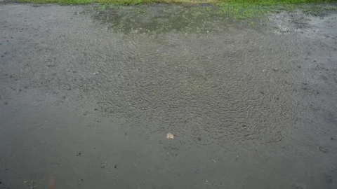 Heavy raindrops falling on the land surface. Vidéo 343360701