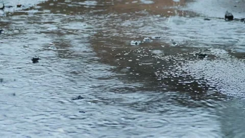 Heavy raindrops falling into a large water puddle on an asphalt city street Stock Footage 339994147