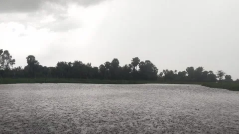 Heavy Raindrops Falling On Water Surface In Rural Cambodia Stock Footage 341903628