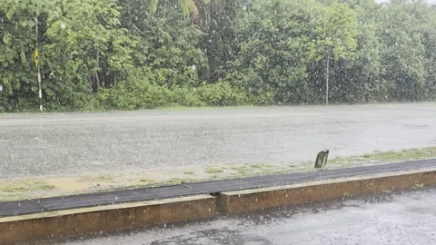 Heavy rainfall 4k footage Stock Footage 333940004