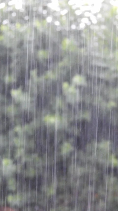 Heavy Rainfall Against Blurred Green Forest Background - 4k Vertical Footage Video stock 338277658