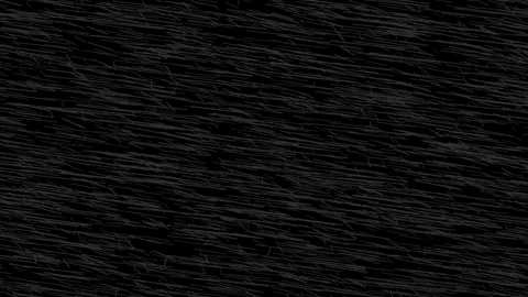 Heavy rainfall and most heavy wind elements effect on the black screen Video stock 271341602