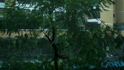 Heavy Rainfall and Wind During Indian Monsoon Stock Footage 340013937