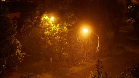 Heavy rainfall and wind Stock Footage 156631187