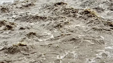 Heavy Rainfall Causing Flooded Stream with Muddy Water Stock Footage 339779255