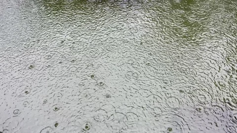 Heavy Rainfall Creating Ripples on Water Surface with Natural Rain Sound Video stock 339266888