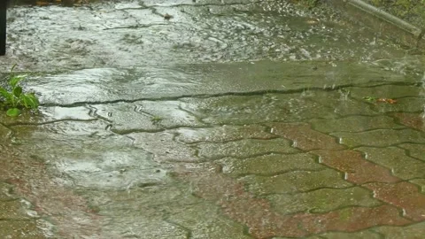 Heavy rainfall Stock Footage 135931984