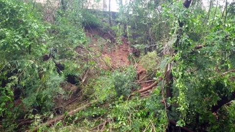 Heavy rainfall Stock Footage 315971442