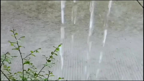 Heavy rainfall hitting the road Vídeos de archivo 305295300