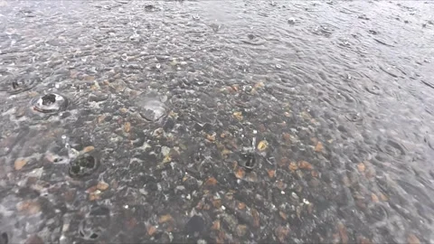 Heavy rainfall hitting water surface forming dense ripples Stock Footage 317353695
