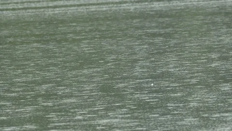Heavy Rainfall on Lake Surface - 4K Wide Shot Slow Motion Footage Stock Footage 336684513