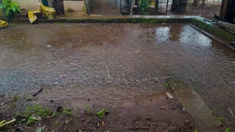 Heavy Rainfall on Muddy Ground in Rural Backyard | Rainwater Splashing Video Stock Footage 313149574